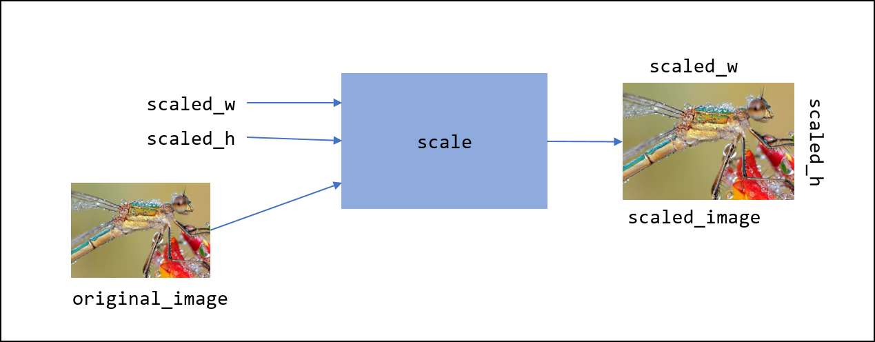 scale